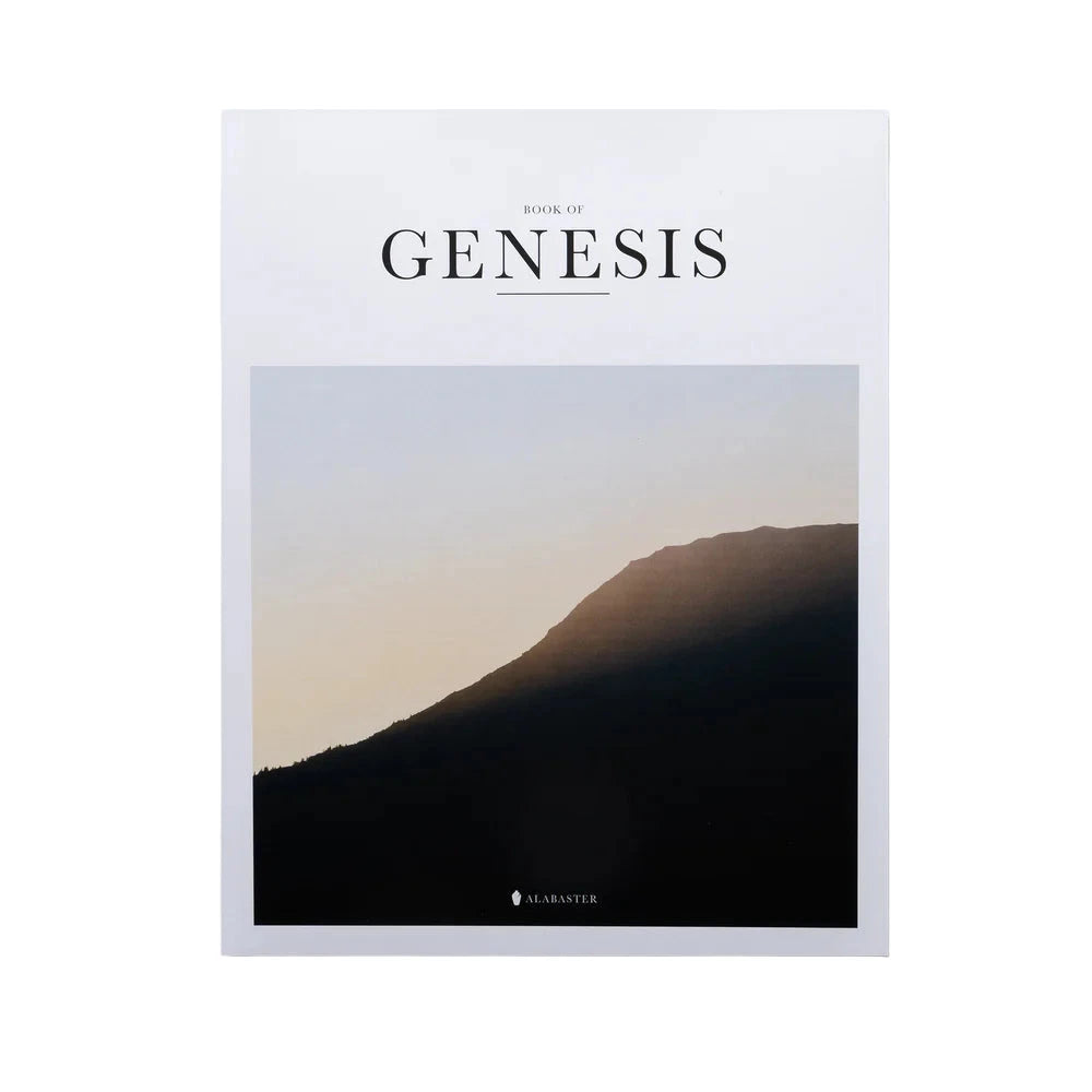 Album cover titled 'Genesis' with a mountain silhouette on a light background