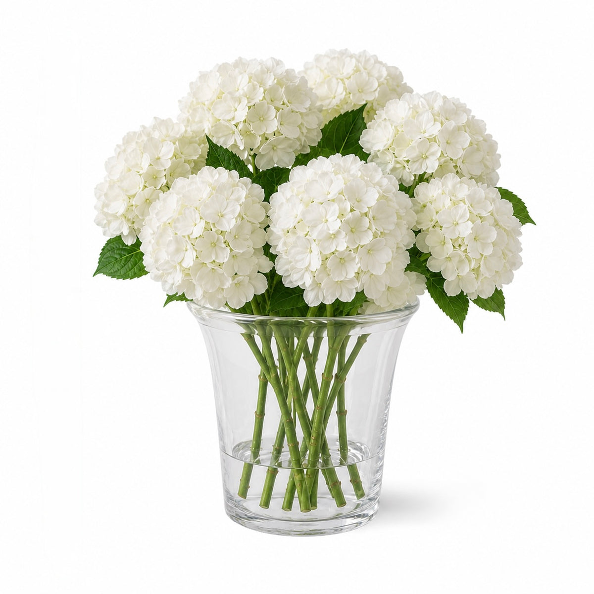 Solid glass planter