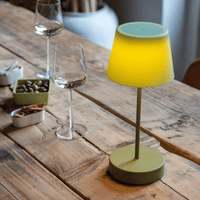 two shade green portable table lamp