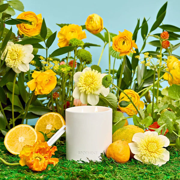 white concrete vessel with lid scented outdoor citronella neroli candle with citrus fruit