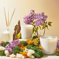 white vetiver scented candle  and reed diffuser in glass container