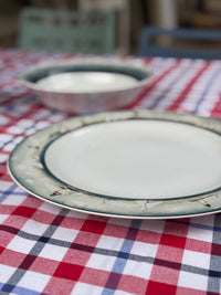 A ceramic plate with a white center and a green-beige patterned rim sits on a red, white, and blue checkered tablecloth, with a matching bowl blurred in the background.