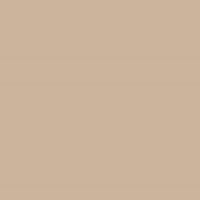 color sample of beige color 
