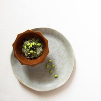 Small terracotta bowl with green sprouts on a textured ceramic plate against a white background