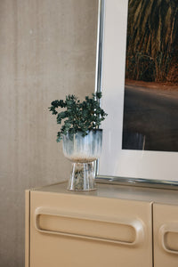 ceramic flower pot with plant in blue and brown tones on a side board