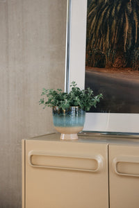 Potted plant on a cabinet with a television in the background