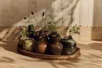 Collection of rustic ceramic pots with plants on a woven tray against a wooden wall.