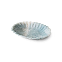 Shell-shaped dish on a white background