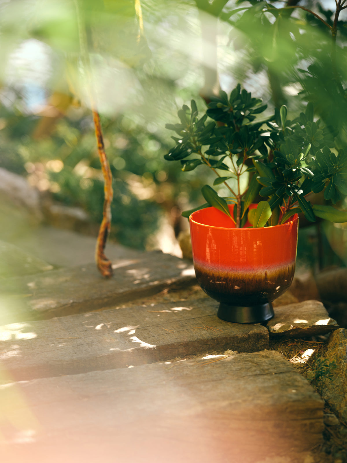 colorful retro style planter on foot