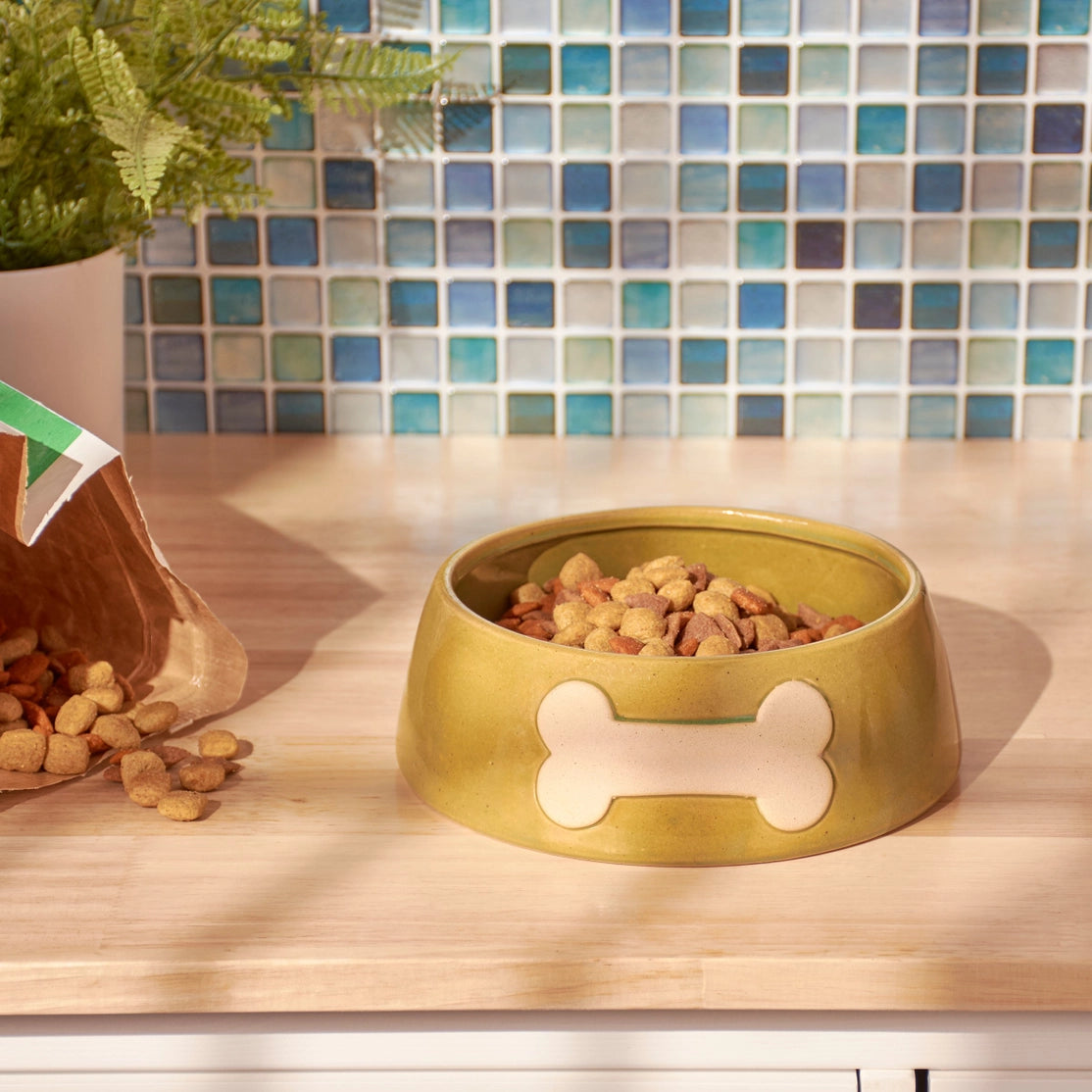 Dog food bowl with bone design on a wooden surface, filled with kibble.