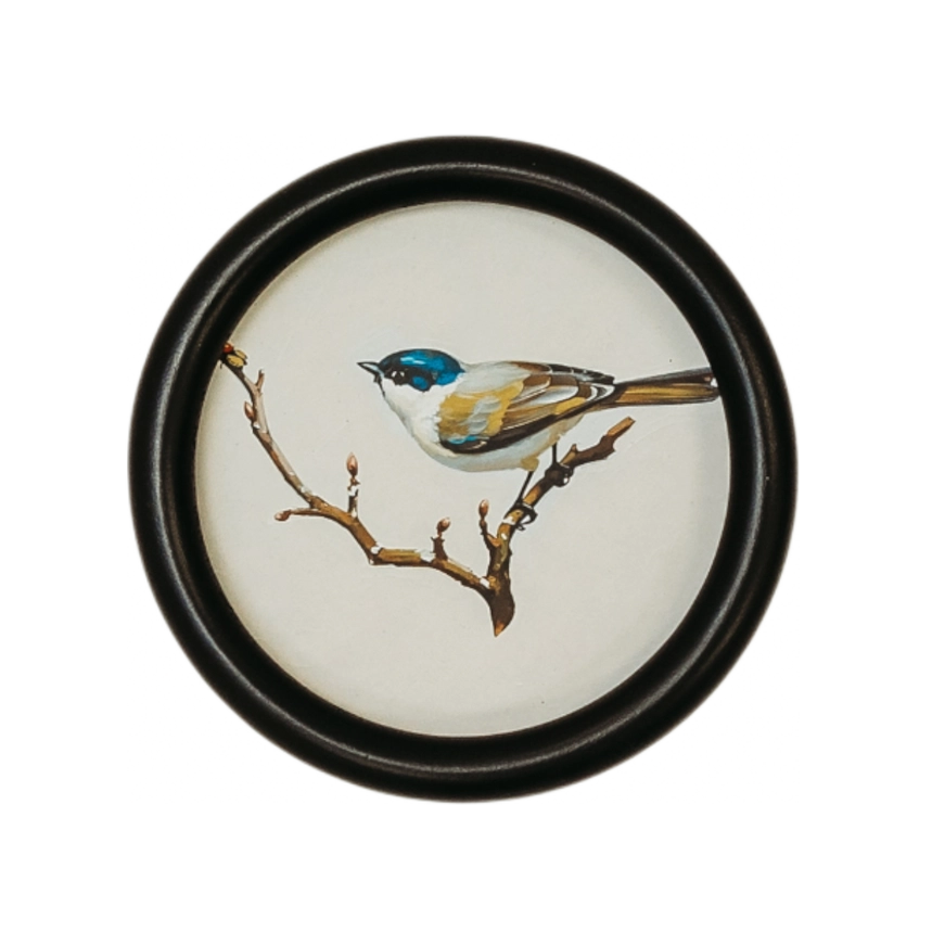 Framed artwork of a bird perched on a branch with a black frame.