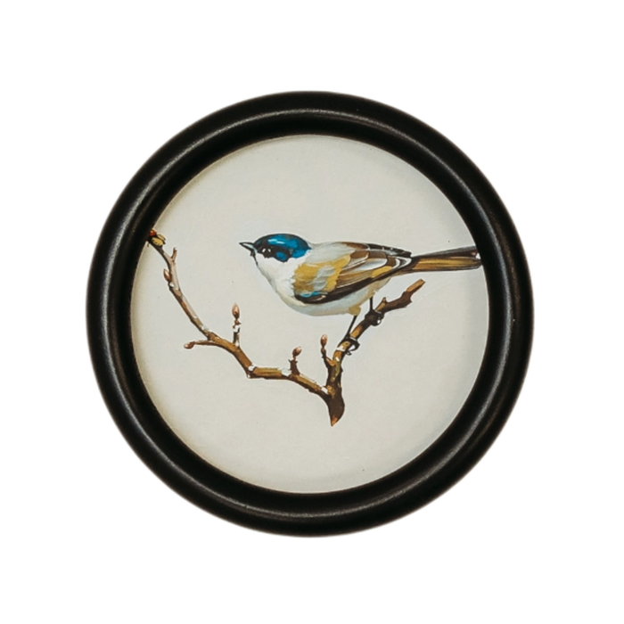 Framed artwork of a bird perched on a branch with a black frame.