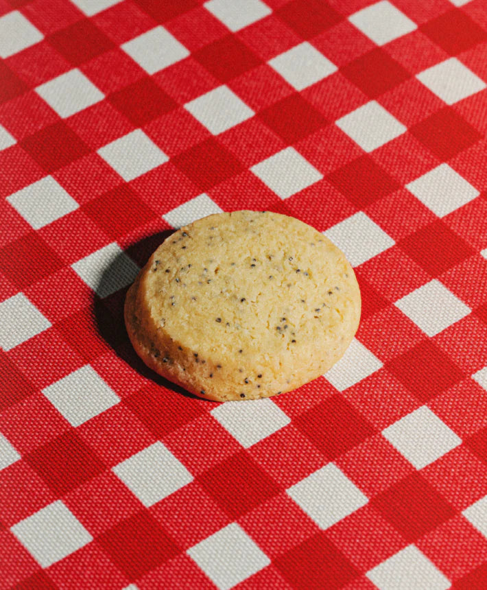 Cookie on a red and white checkered tablecloth