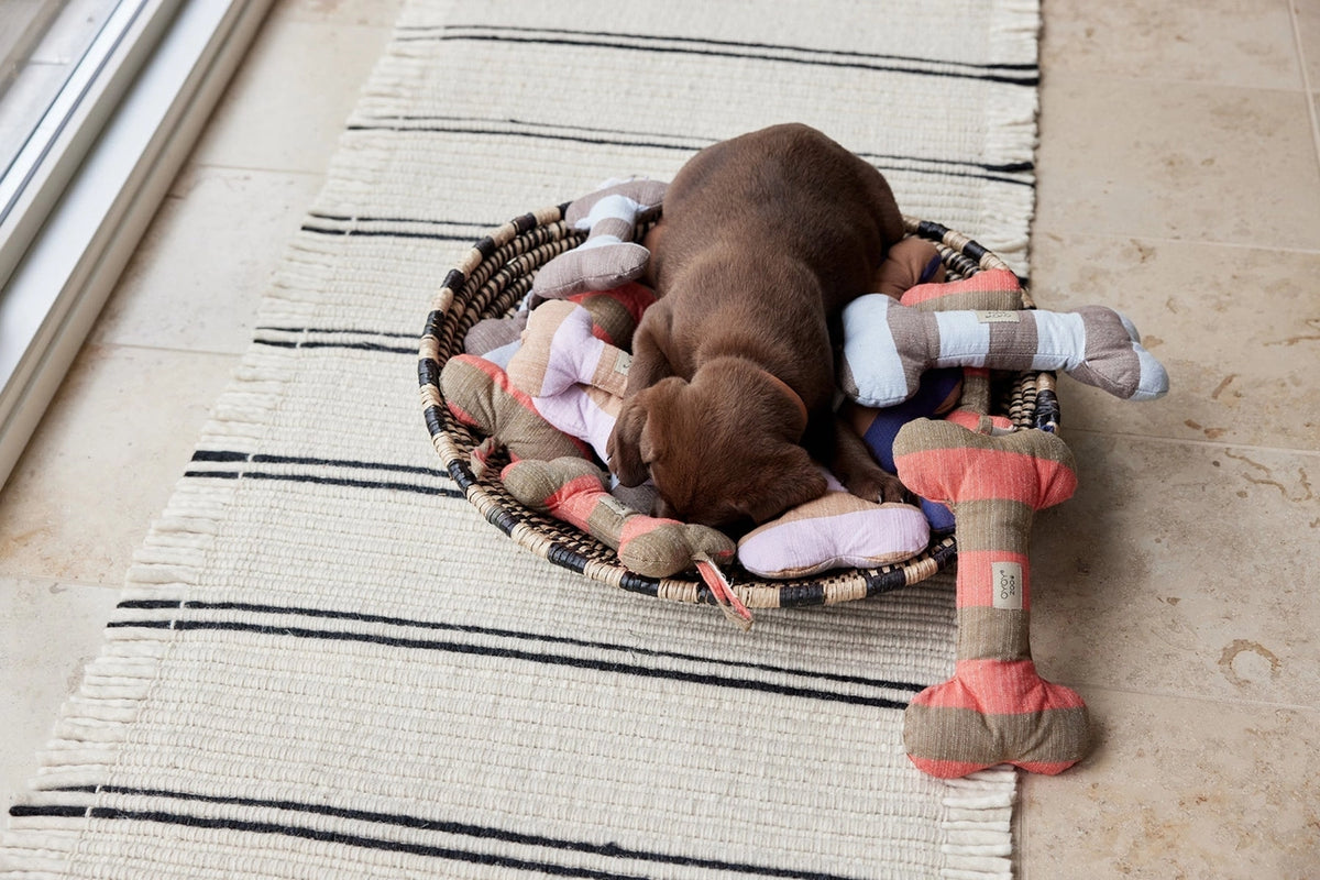 Dog lying on a woven mat with plush toys and a bone-shaped chew toy.