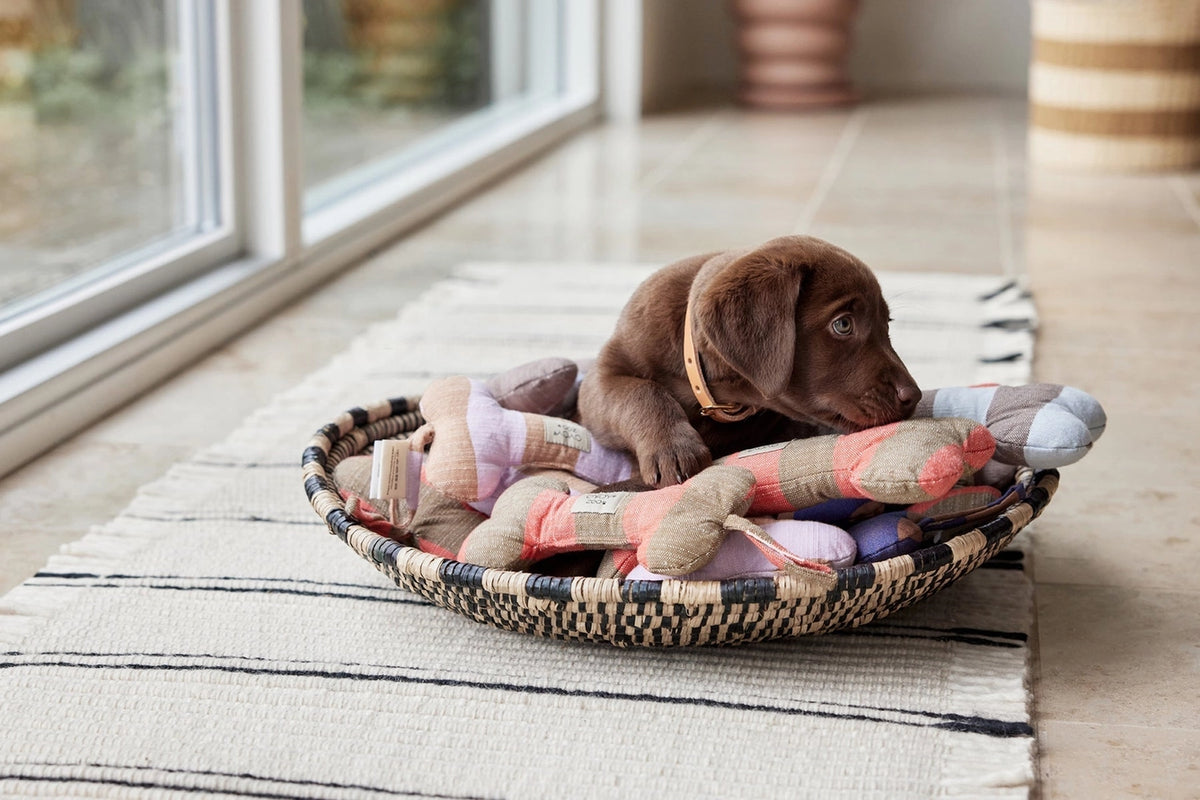 Puppy playing with a plush toy on a patterned pet bed indoors.