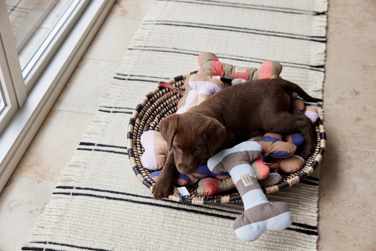 Puppy lying on a bed of toys in a basket on a striped rug.