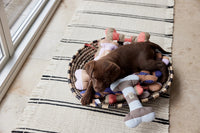 Puppy lying on a bed of toys in a basket on a striped rug.