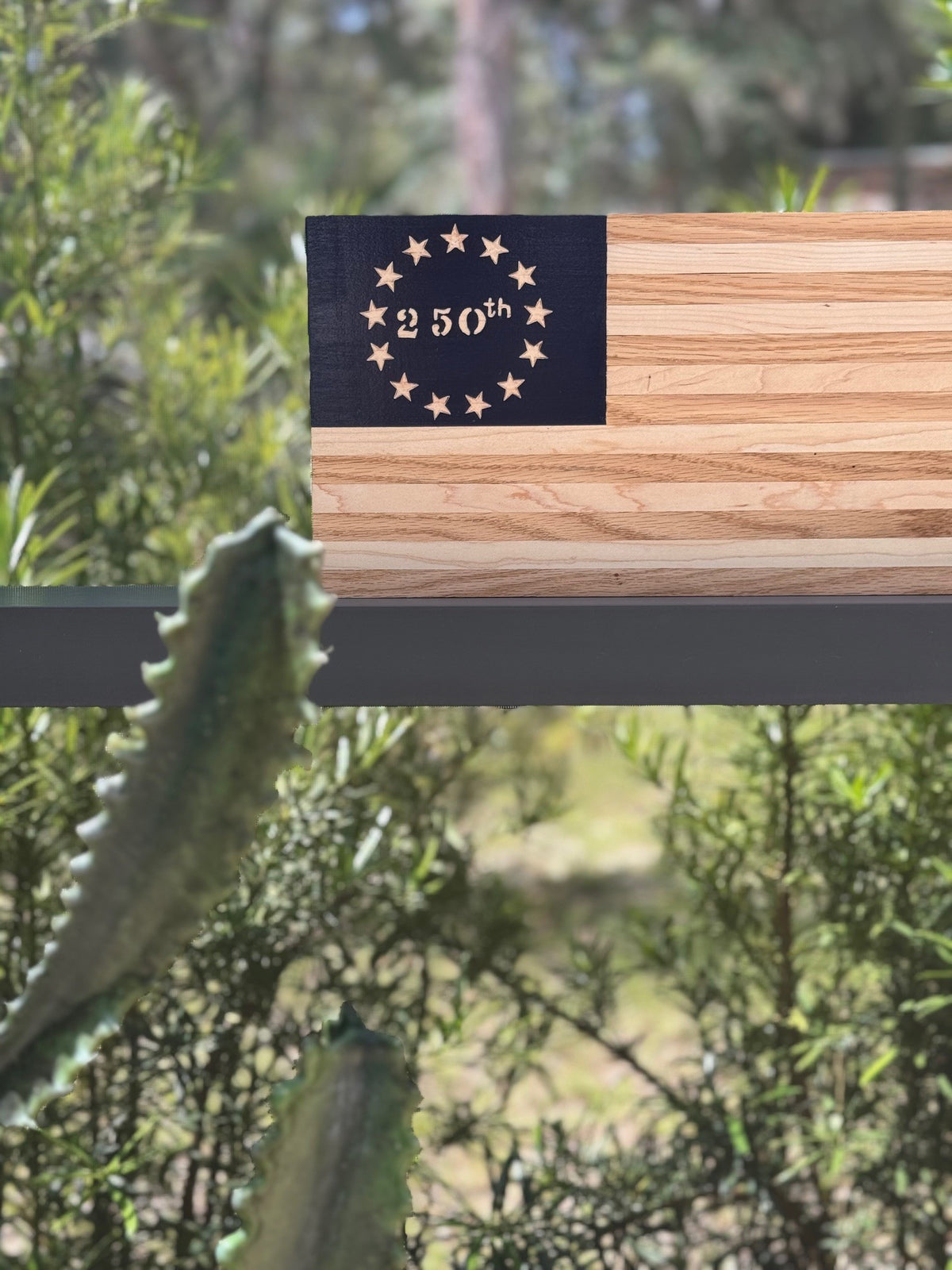 Wooden plaque with '250th' marking on a blurred green background