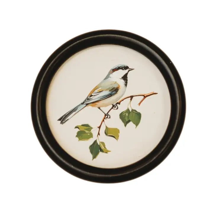 Decorative round frame with a bird illustration on a white background