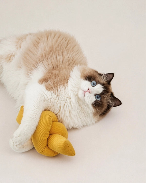 A fluffy long-haired cat with cream, white, and dark brown patches lies on a light beige studio background, holding a mustard yellow knotted fabric toy.