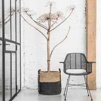 natural setting tub chair with basket and rug