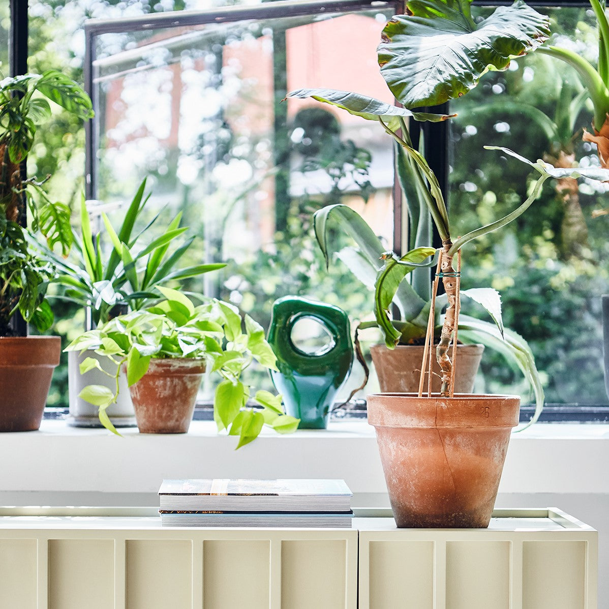 plants in terracotta planters next to an organic shaped green sculpture object