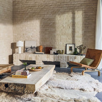 living room with terracotta head sculpture and squiggle object on display next to photo's and books